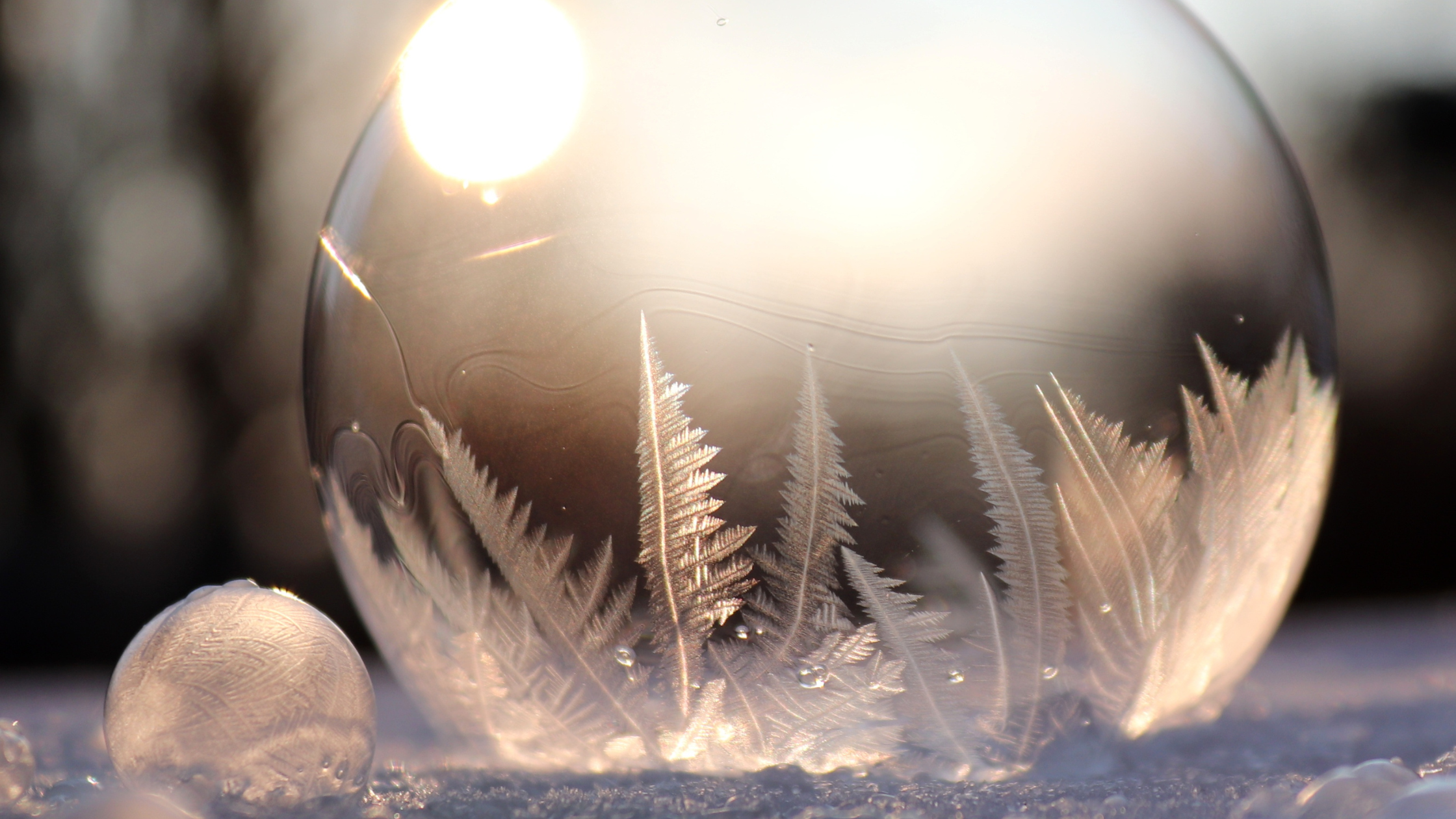 Astuces pour protéger les cheveux des enfants pendant l’hiver