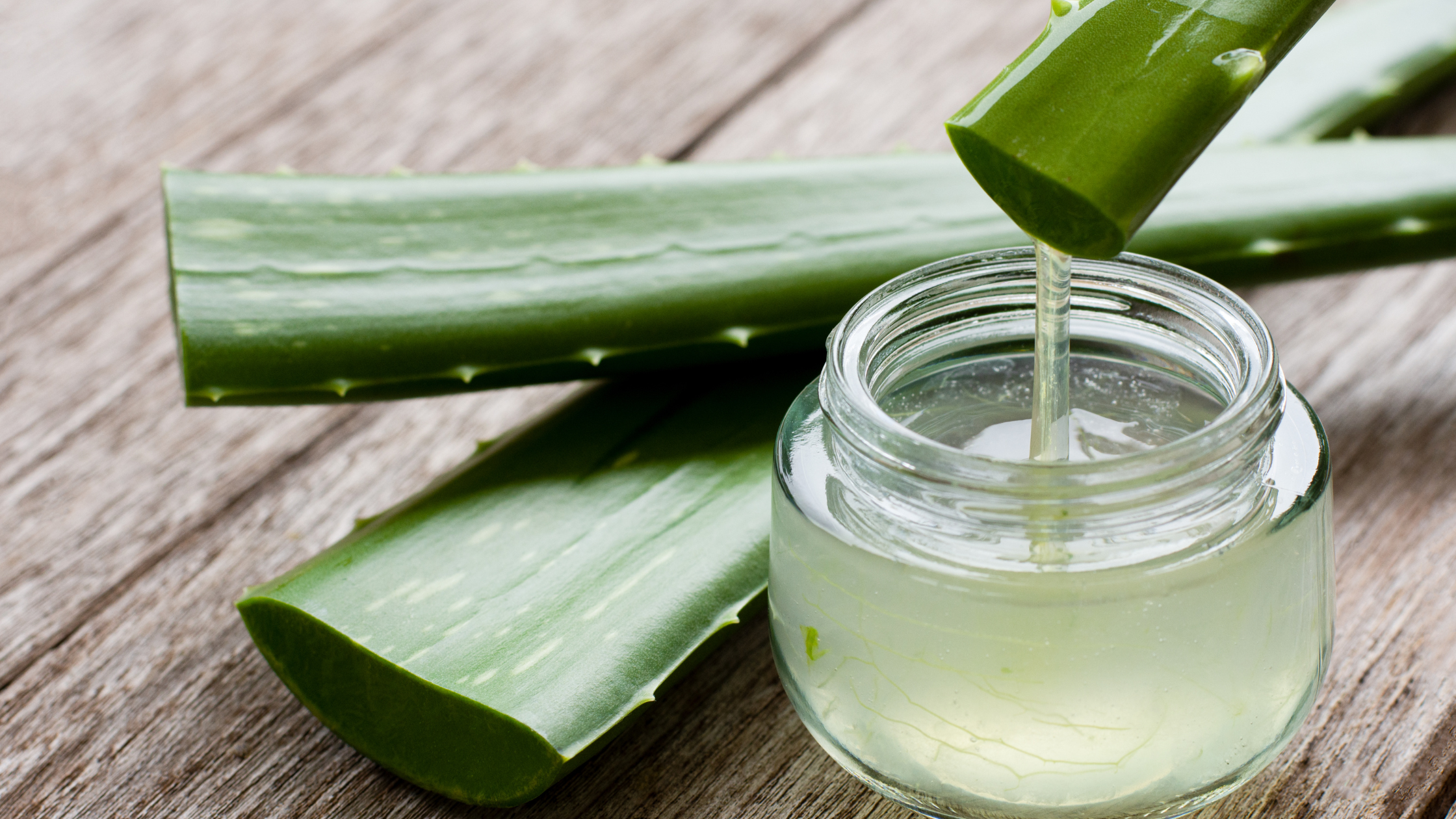 Les bienfaits de l’aloe vera dans les soins capillaires pour enfants